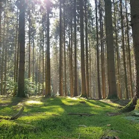 N°4, En Pleine Nature, Frontalier Tatil Evi