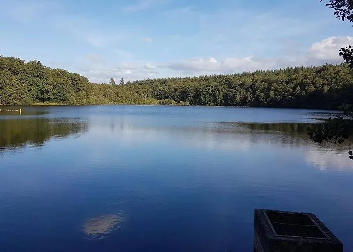 N°4, En Pleine Nature, Frontalier * Signy-le-Petit