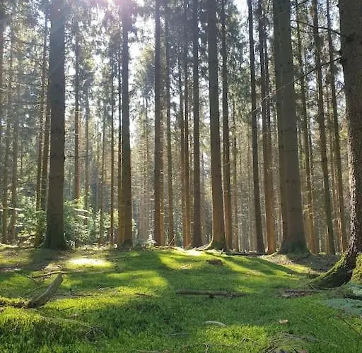 N°4, En Pleine Nature, Frontalier Σπίτι διακοπών